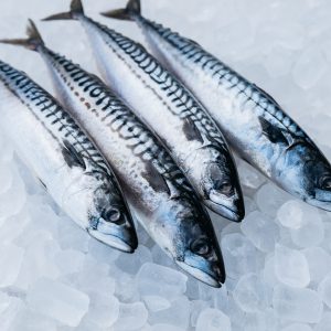 Mackerel (Titus) Fish ICELAND