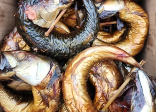 smoked titus smoked titus