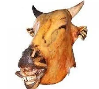 COW-HEAD-346x310-1 COW-HEAD-346x310-1