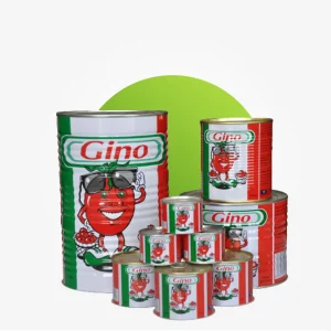 GINO TIN