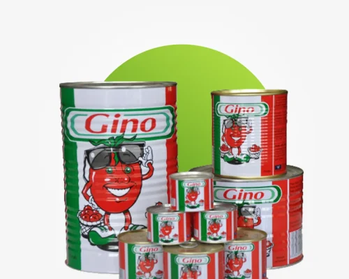 Gino-paste-MFA Gino-paste-MFA