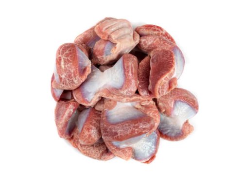 TURKEY GIZZARD1 Poultry Offal Isolated, Raw Chicken Stomach, Poultry Giblets, Fresh Turkey Stomach, Chicken Gizzard on White Background