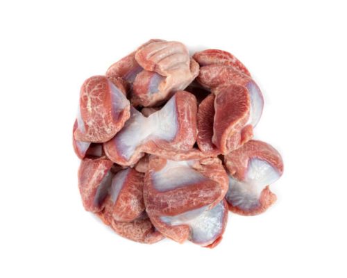 TURKEY GIZZARD1 Poultry Offal Isolated, Raw Chicken Stomach, Poultry Giblets, Fresh Turkey Stomach, Chicken Gizzard on White Background