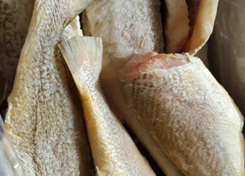 croaker-cut croaker-cut