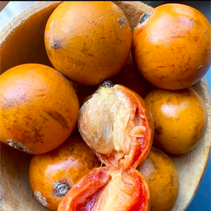 agbalumo