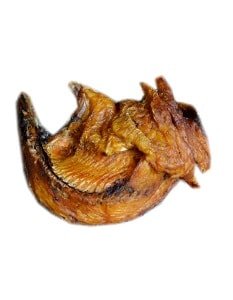 2026/02/1001437385.jpg 2026/02/1001437385.jpg