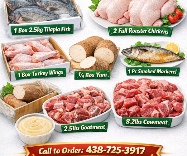 2026/02/1001446422.png 2026/02/1001446422.png