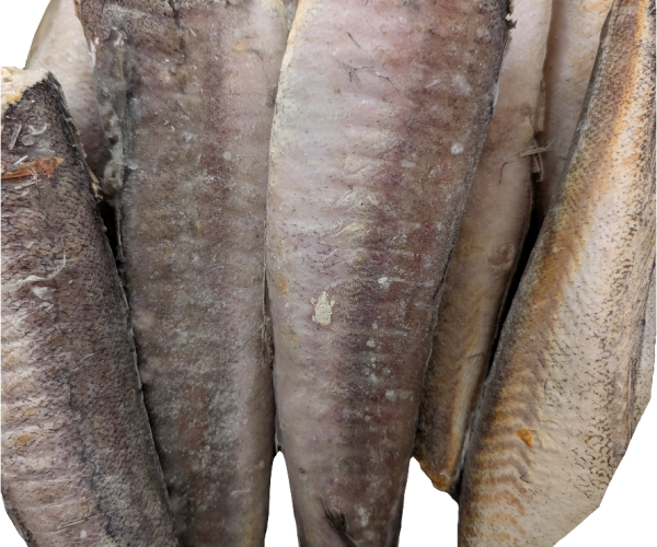 2026/02/1001456857-1.png 2026/02/1001456857-1.png