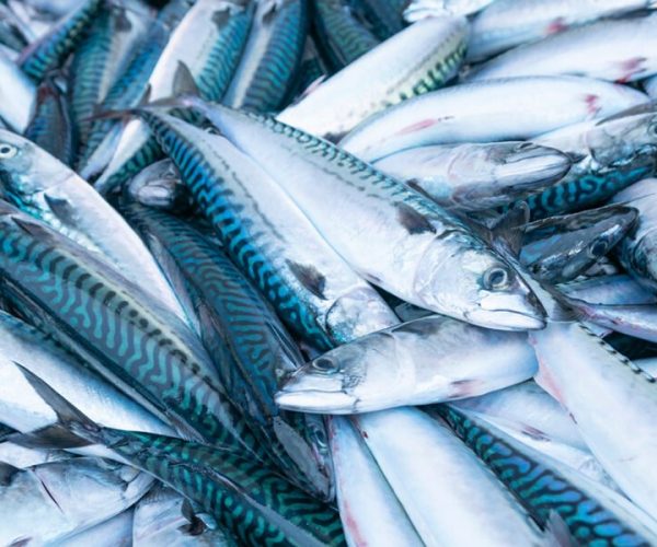 2026/02/1001457030.jpg 2026/02/1001457030.jpg