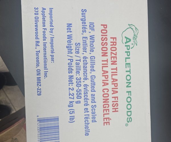 2026/02/JPEG_20260224_134022_8766742638051862384-scaled.jpg 2026/02/JPEG_20260224_134022_8766742638051862384-scaled.jpg