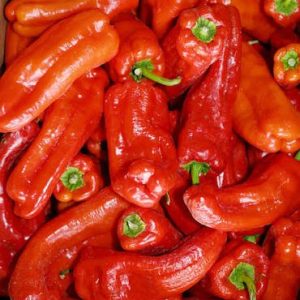 Sheppard pepper