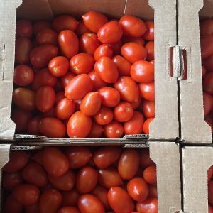 Tomatoes