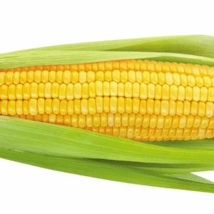 Fresh Naija corn